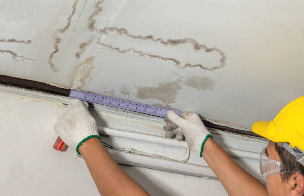 Reliable Burst Pipe Cleanup contractor in Big Rock, TN by Water Damage Irwin